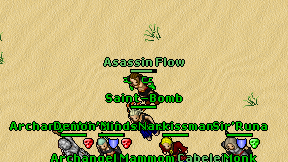 Asassin Flow on screen