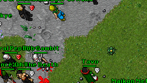 Tavo on screen