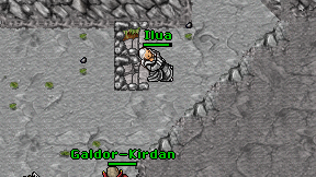Ilua on screen