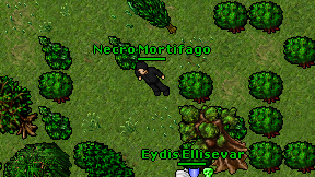 Necro Mortifago on screen