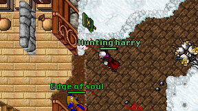 Hunting harry on screen