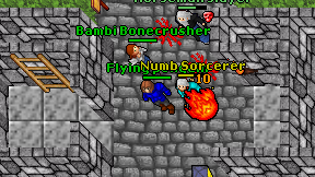 Flying penguin on screen