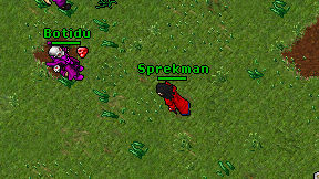 Sprekman on screen