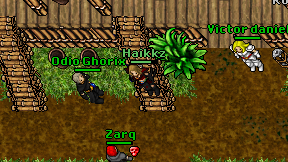 Haikkz on screen