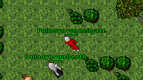 Palladyn von hellgate on screen