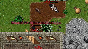 Bimbo Gradiscanska Kuja on screen