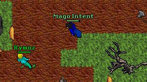Mago Intent on screen