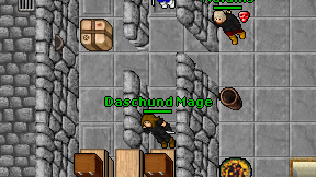 Daschund Mage on screen