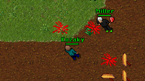 Kozaky on screen