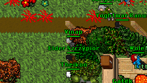 Vinap on screen