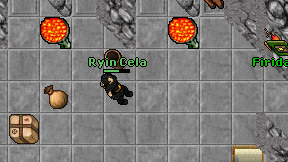 Ryin Cela on screen