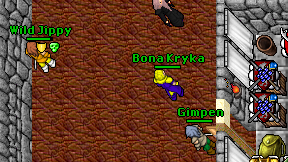 Bona Kryka on screen