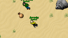 Aryds on screen