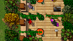 Timono Ninja on screen