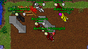 Arahorn on screen