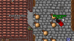 Panthrillo on screen