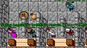 Novus trebor on screen