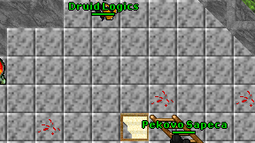 Druid Logics on screen