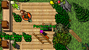 Puchcio Pal on screen