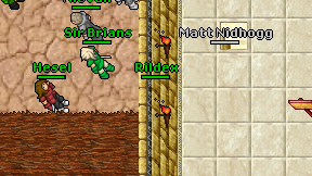 Rildex on screen