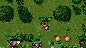 Dringr on screen