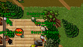 Bazyl of Knight on screen