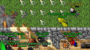 Master Wacek on screen
