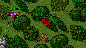Kel'Rashin on screen