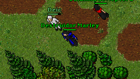 Destruidor Marley on screen