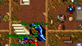 Desert Striker on screen