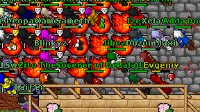Dozon Maxi on screen