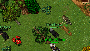 Moriusz on screen