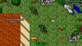 Nivila on screen