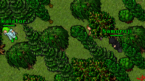 Eskalator on screen