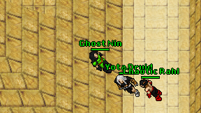 Ghost Nin on screen