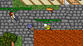 Thundermaze on screen