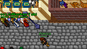 Ziwiza on screen