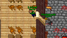 Lotad on screen