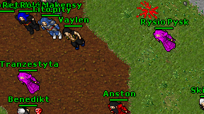 Rysio Pysk on screen