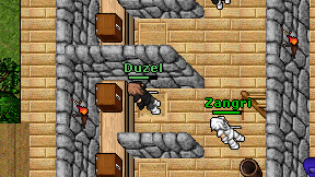 Duzel on screen