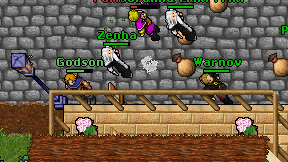 Zenha on screen