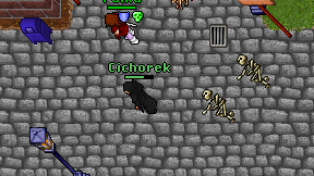 Cichorek on screen