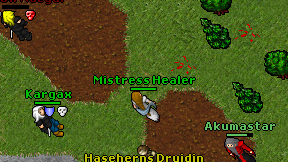 Mistress Healer on screen