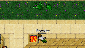 Proeky on screen