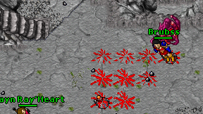 Brubss on screen