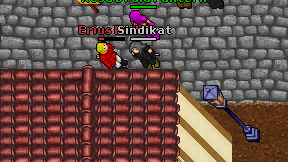 Sindikat on screen