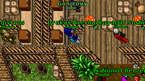Goniroxy on screen
