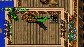 Majinbo on screen