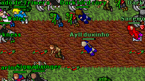 Ayll duxinho on screen