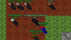 Nymphotamine on screen